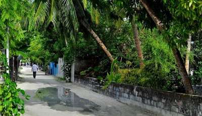 lush green surroundings in one of the best islands in Maldives for honeymoon