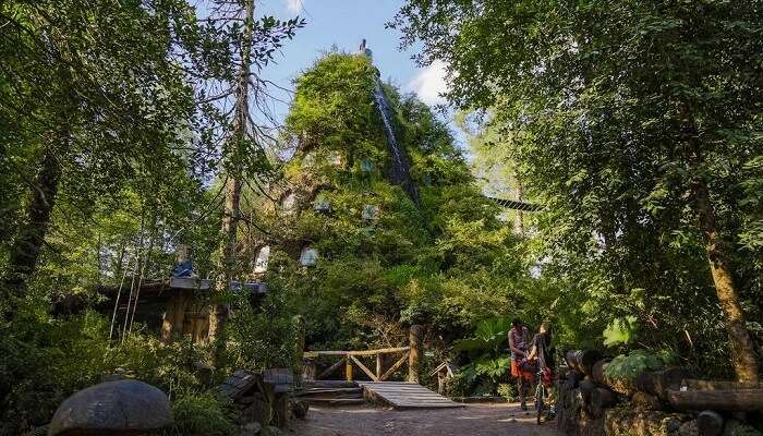 Hotel La Montana, Chile