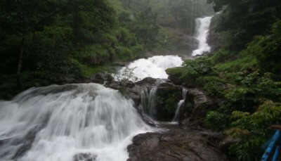 Enjoy sightseeing at Iruppu Falls is one of the best things to do in Coorg