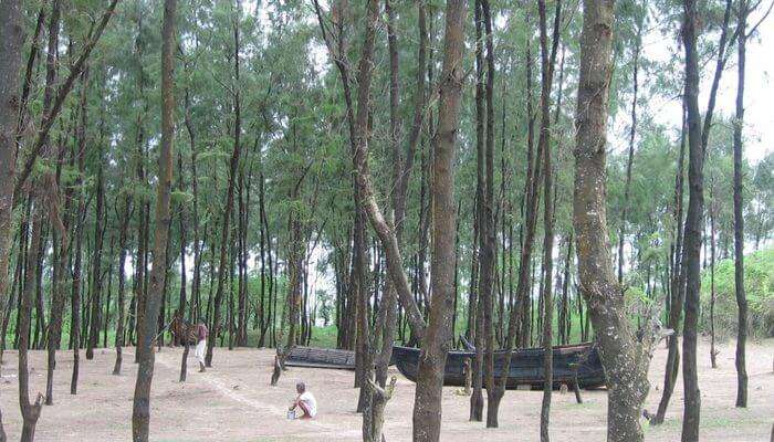 Jagatsinghpur