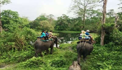 Elephant ride