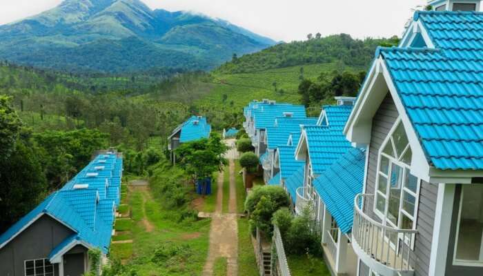opportunity to relax and enjoy the greenery