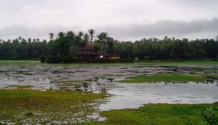 Karkala