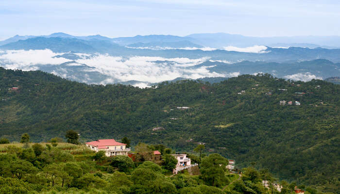 A rejuvenating view of Kasauli Hills 