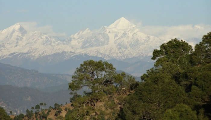 view of the paradise
