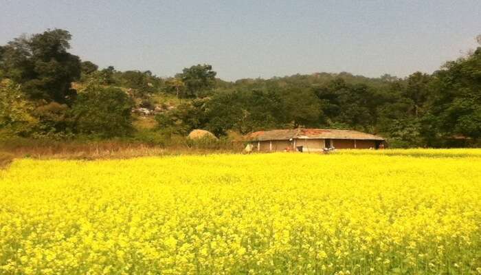 Keonjhar