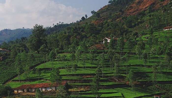 wonderful natural beauty of the hill