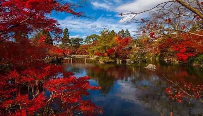 Kyoto – Sacred and Serene