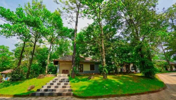 Lake N Hills Cottages