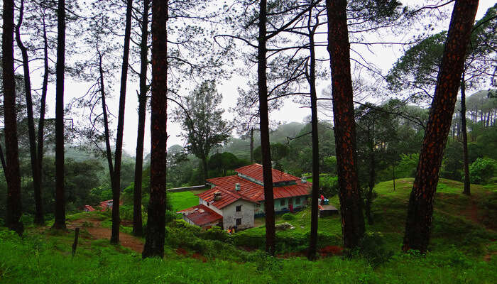 a beautiful place