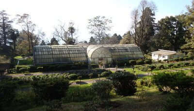 Lloyd's Botanical Garden is one of the amazing places to visit in Darjeeling in July
