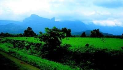 Malshej Ghat, among the best places to spend summer holidays in India