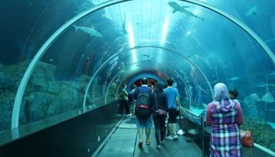 Marine Life Park is one of the most romantic places to visit in Singapore for honeymoon