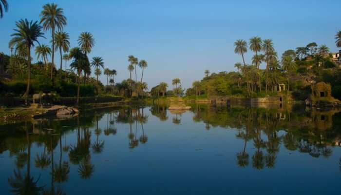 Mount Abu In Summer Is An Epitome Of Beauty And Everything Nice