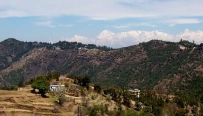 The lush greenery of Mukteshwar, among the best places to spend summer holidays in India