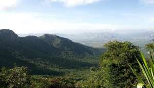 A wonderful view of Nallamala Hills which is one of the natural places to visit in Andhra Pradesh