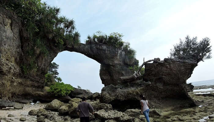 Brtidge at neil island, Andaman