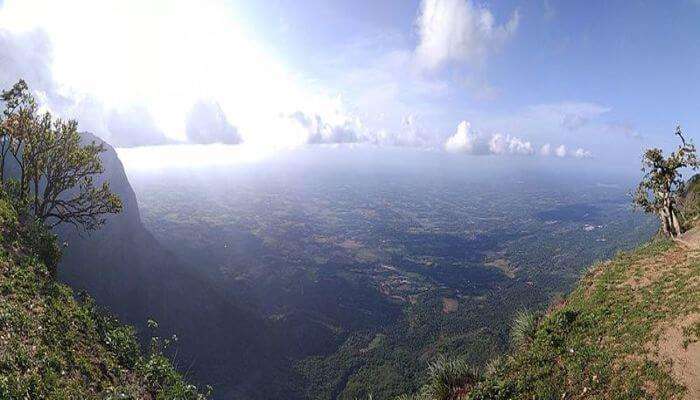 Nelliyampathy