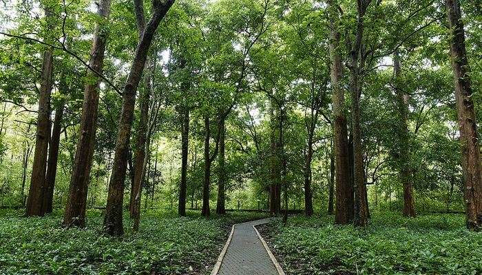 Nilambur