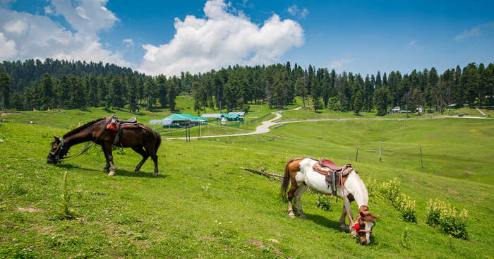 10 Scenic Places To Visit In Gulmarg In May 2023 On Kashmir Trip