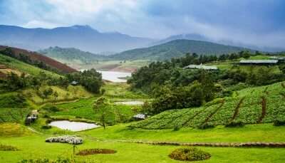 Beautiful View of Ooty