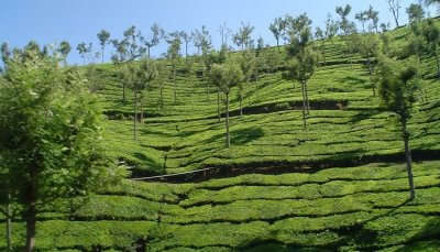 A scenic view of Ooty which is counted among the best honeymoon destinations in June in India