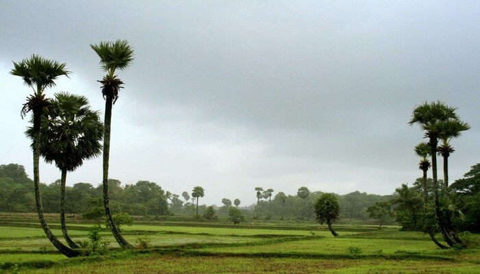 Palakkad
