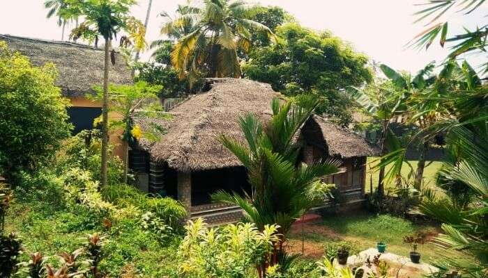 Palm Tree Bungalow Resort in Varkala
