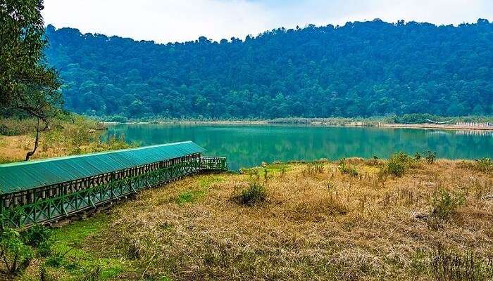 Pelling