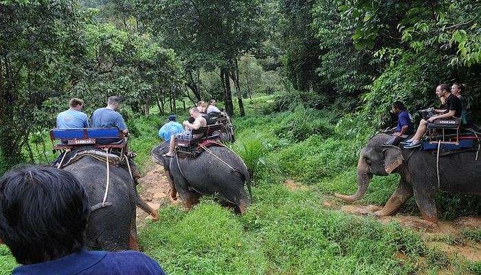 wildlife tours phuket