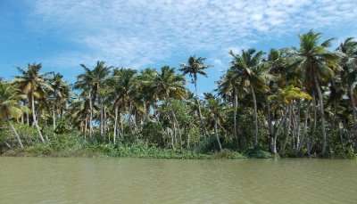 Places To Visit In Trivandrum