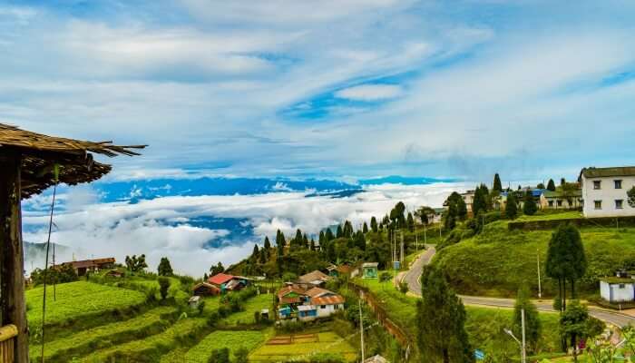 darjeeling places to visit in june