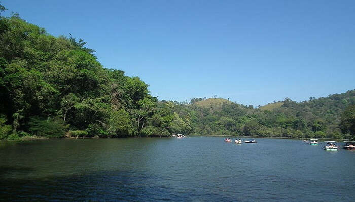 Pookode Lake