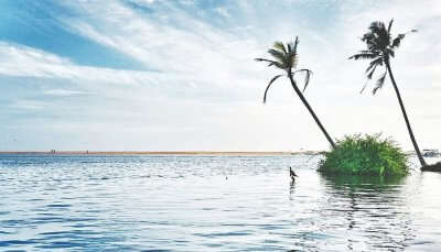 Poovar beach is among the picturesque beaches near Coimbatore