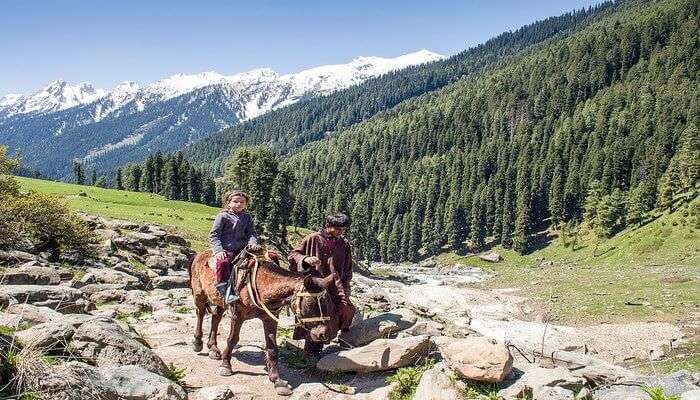 Ride A Pony While You Are In Kashmir