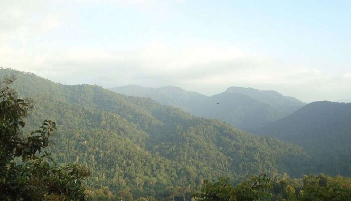 surrounded by lush green hills