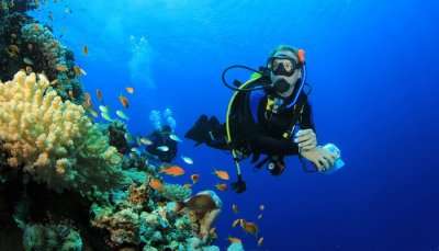 Scuba Diving In Pattaya Cover