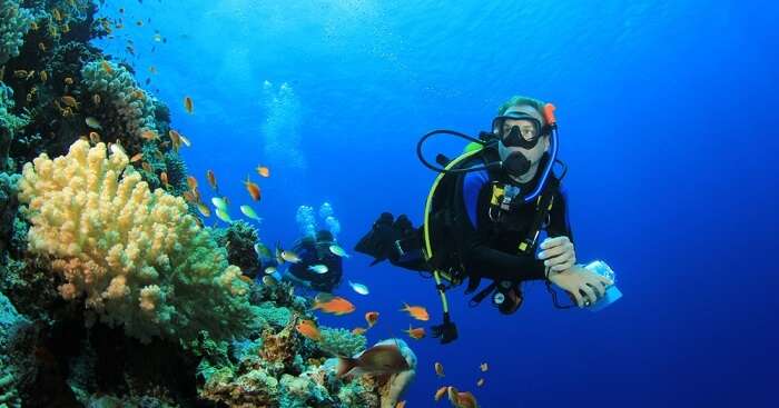 Scuba Diving In Pattaya Is One Of The Best Things To Do In