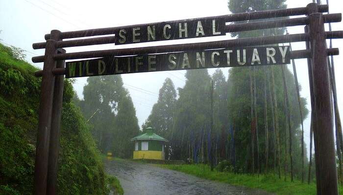 Senchal Lake & Wildlife Sanctuary