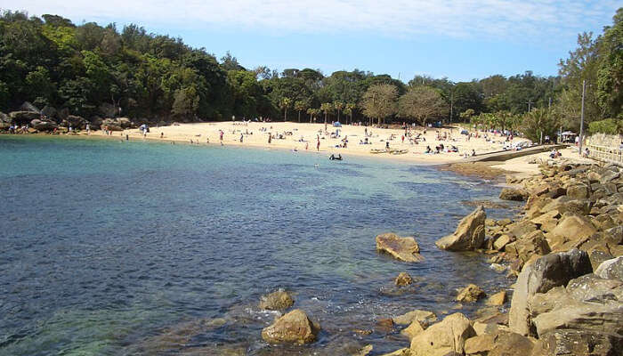 Shelly Beach In Sydney