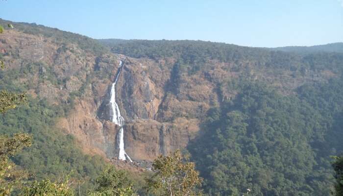 Offering views of lush green forests, gorgeous waterfalls