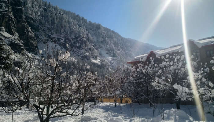 Snowfall in Solan