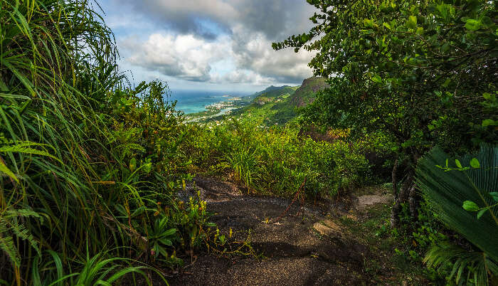 The Copolia Trail in Seychelles