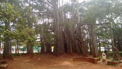 Kethohalli- Places To See In A Day Around Bangalore