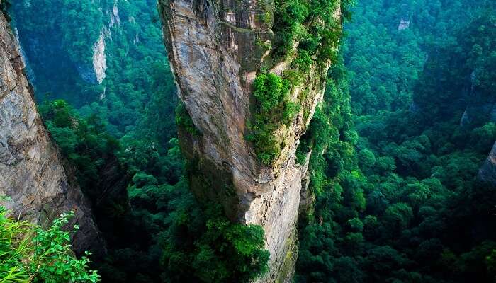 Tianzi Mountains