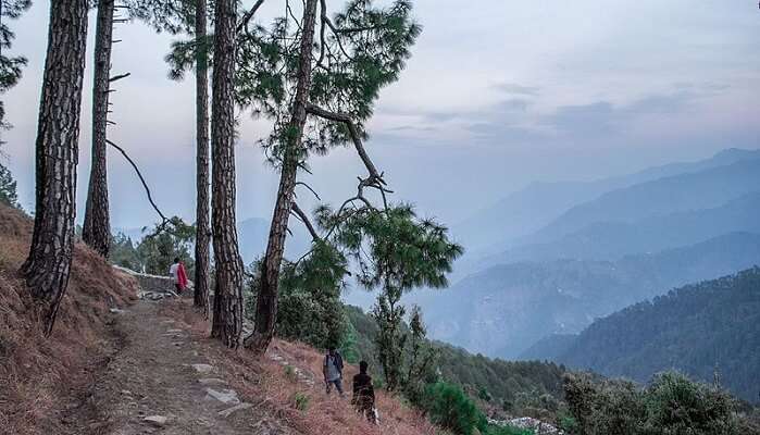 binsar