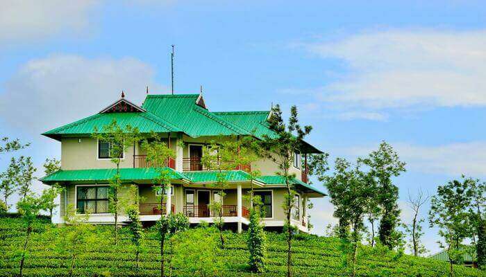 Vagamon Green Hill Estate