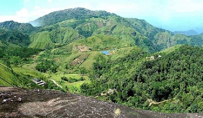 hill covered with extensive greenery