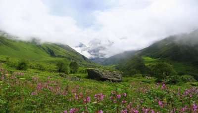 Valley Of Flowers, one of the best places to visit in Uttarakhand in July.