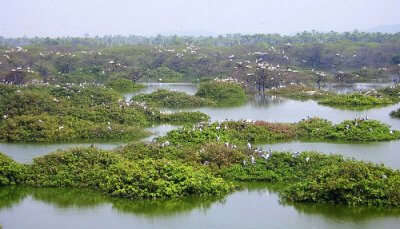 Vedanthangal- places to visit in tamil nadu